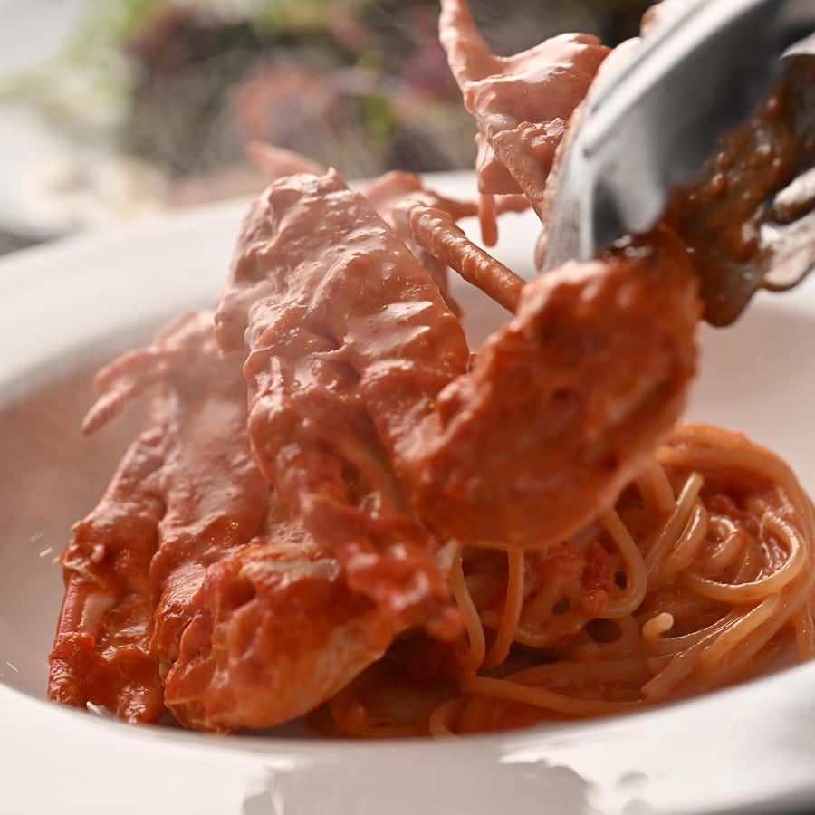 スペシャルランチコース